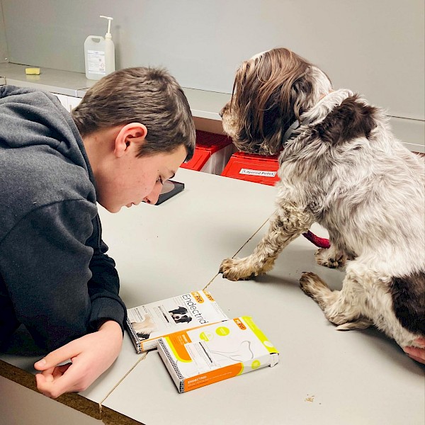 Students engaging in English lessons